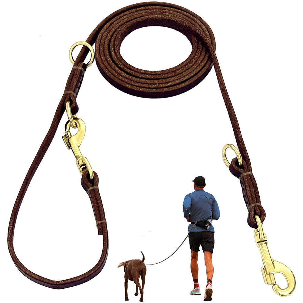 Tali Anjing Kulit Multifungsi, - Leather Strap Quick Release ulasan dan harga